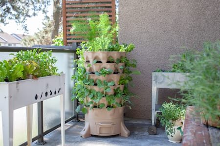Imagem de um deslumbrante jardim vertical na varanda, apresentando uma variedade de plantas verdes que trazem frescor ao espaço. Este jardim vertical é uma solução criativa para quem busca otimizar pequenos ambientes e adicionar um toque de natureza ao lar. Confira nossas dicas de jardinagem para iniciantes e aprenda como criar seu próprio jardim vertical em casa, transformando sua varanda em um oásis verde.