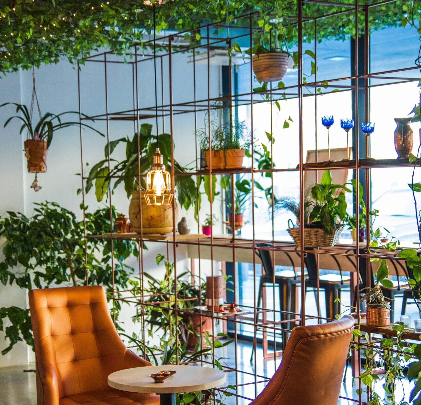 Imagem de um jardim na casa, ideal para jardinagem para iniciantes, apresentando uma linda horta em casa com vegetais frescos e flores coloridas. Este espaço também inclui um encantador jardim de inverno, que traz um toque especial ao ambiente. Aprenda como cultivar plantas de forma simples e eficaz, utilizando dicas práticas para iniciantes em jardinagem.